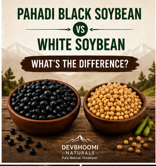 Pahadi Black Soybean vs White Soybean: What’s the Difference?